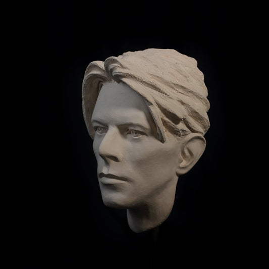 David Bowie - The Man Who Fell To Earth Face Sculpture