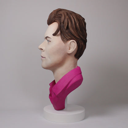 Harry Styles - Hand Painted Clay Bust