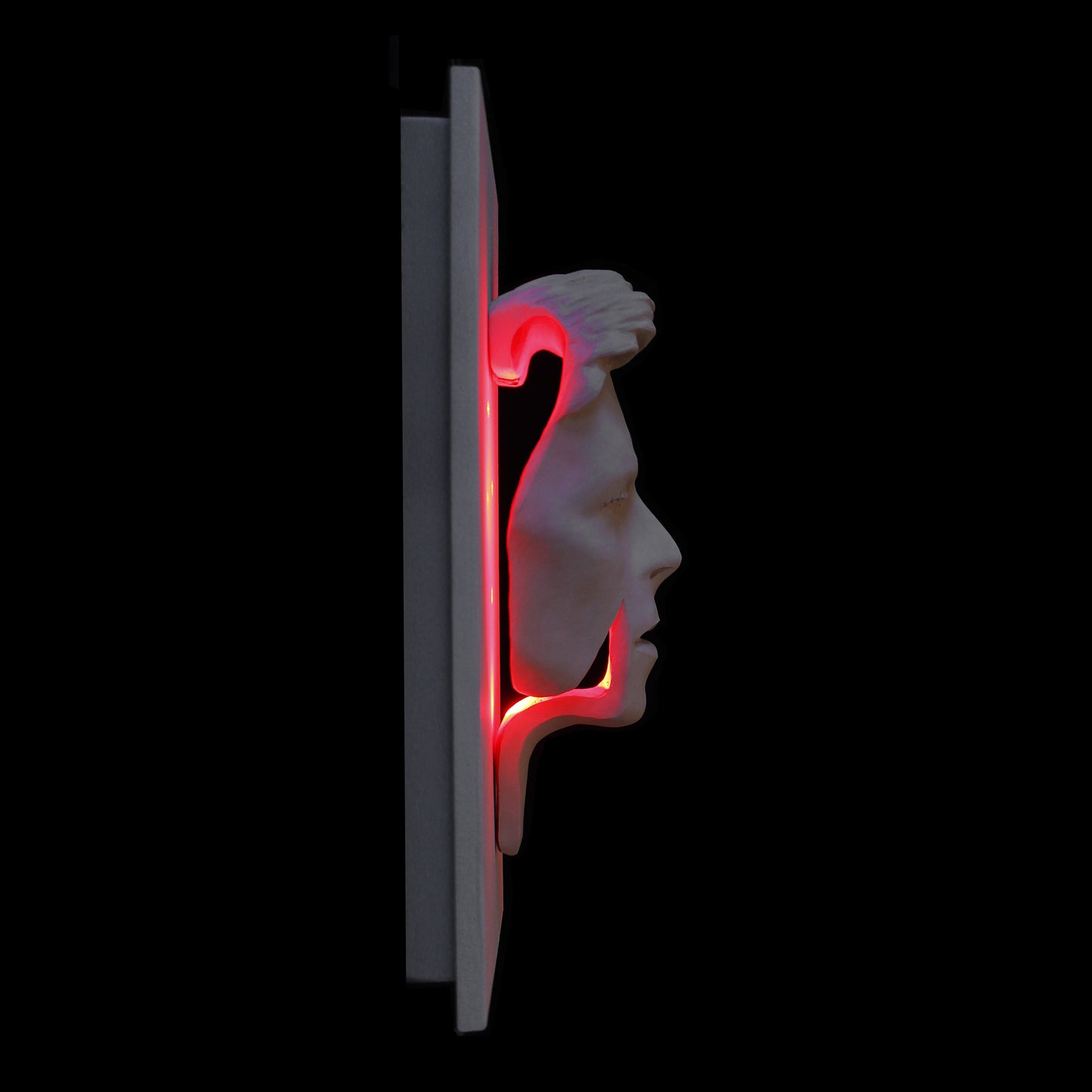 David Bowie Ziggy Flash - Light Edition