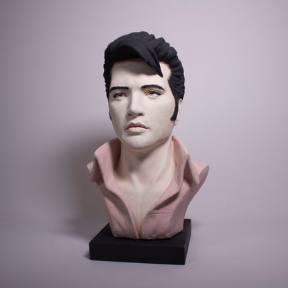 Elvis Portrait Full Head  - Painted Unglazed - Bust n 2